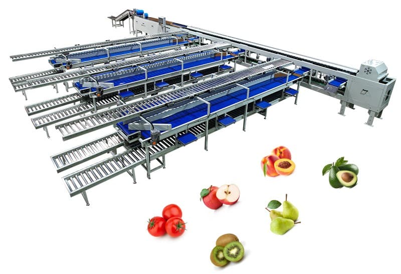 images/1726039319189fruit sorting packing machine.jpg